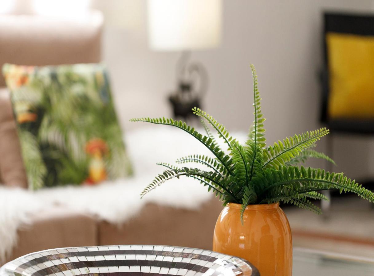 Holiday home Moya Palma de Mallorca